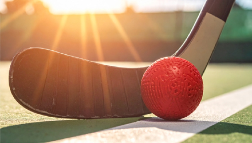Dek Hockey Workshop
